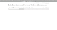 Desktop Screenshot of fotos.sannmann.com